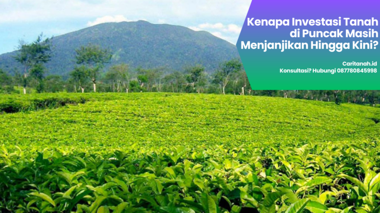 Tanah di Puncak